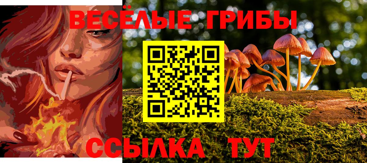 Лабинск  Псилоцибиновые грибы Magic Shrooms  Вход с VPN 