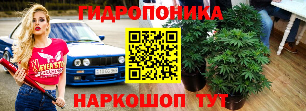 Марихуана план Лабинск